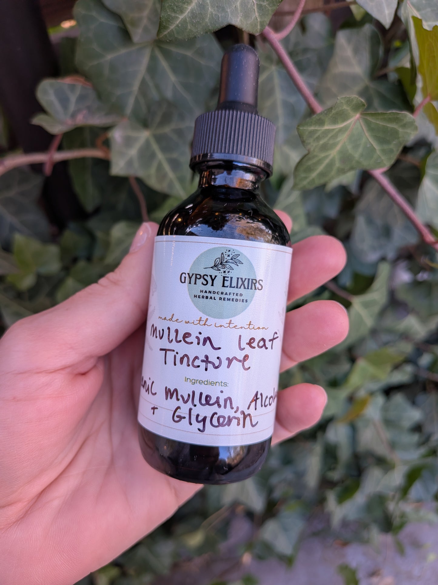Mullein Leaf Tincture - Seasonal Offering